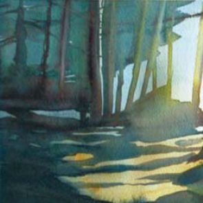 Forest 1, 20x45 cm, France 2012