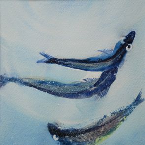 FISH_Sardines, 54x22 cm, 2017