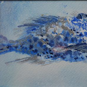 FISH_1, 54x22 cm, 2017